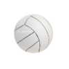 Pelota de Volley Ball Grande