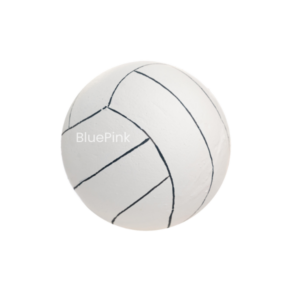 Pelota de Volley Ball Grande