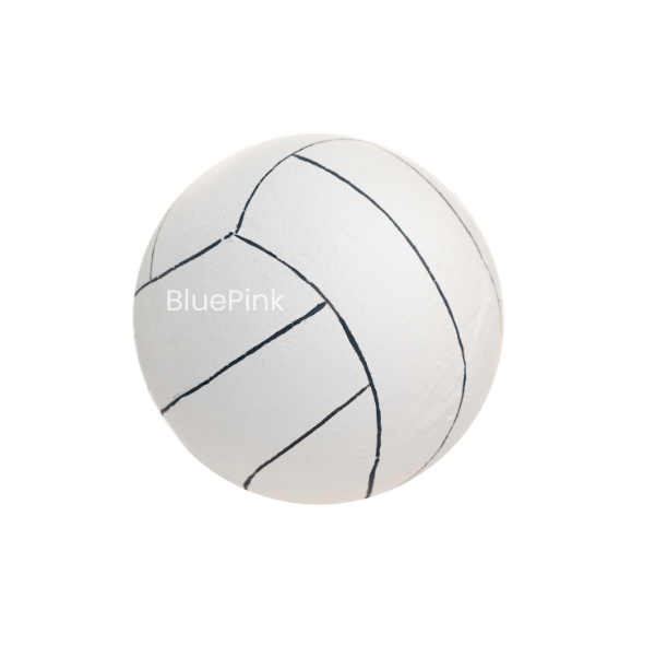 Pelota de Volley Ball Grande