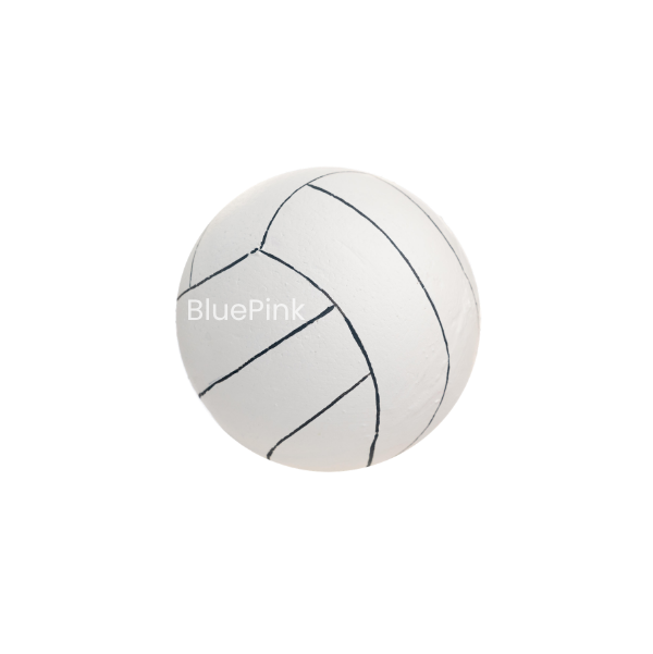 Pelota de Volleyball Chica