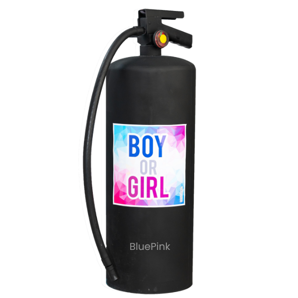 Extintor de 9 Kg